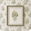 collectedbylou